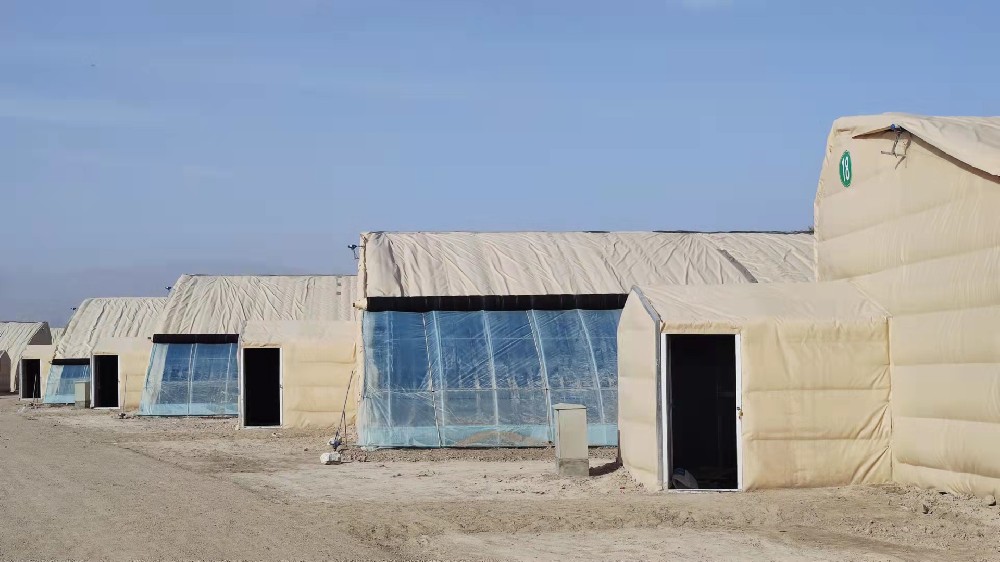 新疆库尔勒现代农业产业园温室棉被项目